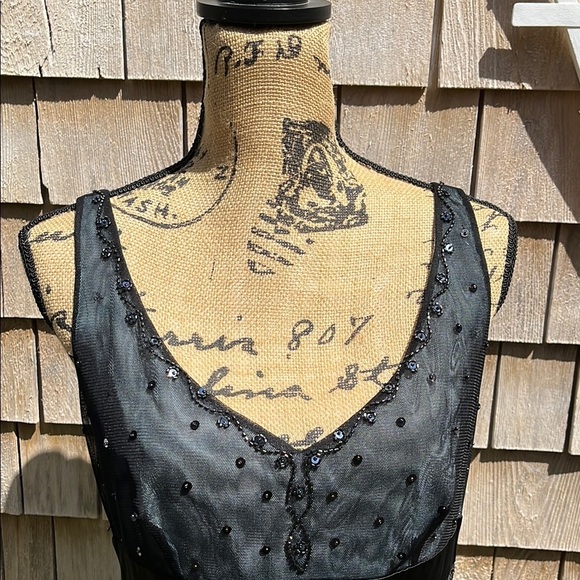 NWT Adriana Papell lace embroidered net sheer dress- gown- Size 10 - Picture 8 of 17